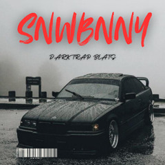SNWBNNY - Dark Trap Instrumental Type Beat (7)