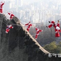 비밀의 화원- 이상은 cover