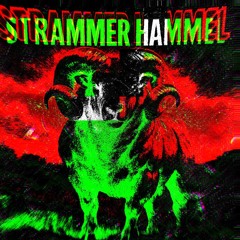 STR4MM3R H4MM3L