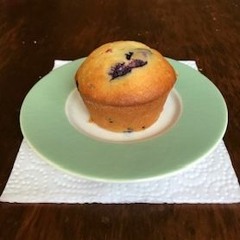 Blueberry Muffin