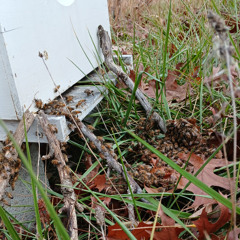 'Round Midnight - The Signalman Show, S7 E16