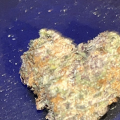 pressure + pressure (Prod. Jgibbs)