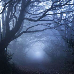 terryfier 2