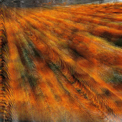 Una Nohe de House | Día De Muertos #1