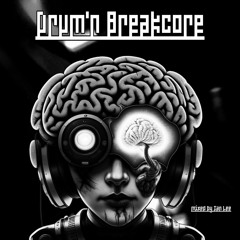 Drum'n Breakcore - Ian Lee Vinyl Mix