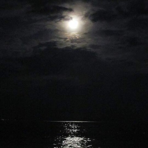 Misty Bayside Moonlight