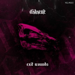 [PREMIERE] VISHSCALE - HELL CAN NOT TAKE ME [NGLM003]