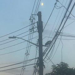 Mood E-Mix Freestyle (rough freestyle)