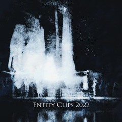 entity 2022 clips