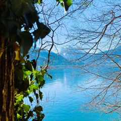 Native Souldive || Back to the Roots