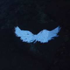 원해 (feat. 의진)