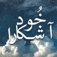 خُود آشکارا  -  Dk David