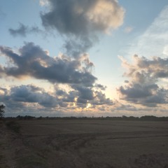 Anh đã từng chờ cơn mưa demo remix tiktok.mp3