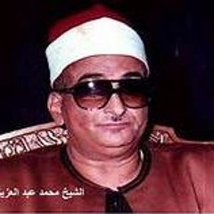 سورة الانعام محمد عبد العزيز حصان