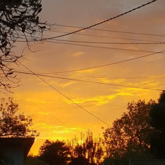 Soul-CTRL : Formula (27/8/20)