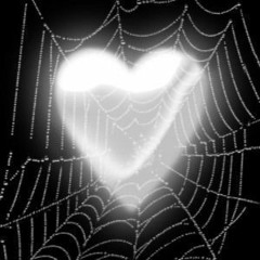 love is a laserquest