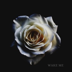 Wake Me