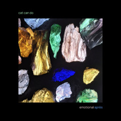 PREMIERE: cat can do - usually a red light in it [Diffuse Reality]