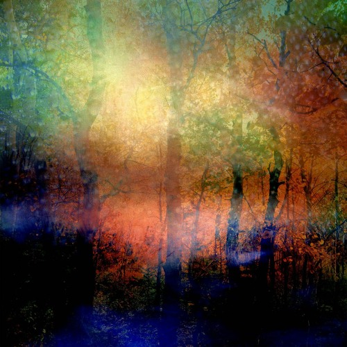 Non Positive - disquiet0527 (with nsinnenberg and gis_sweden)