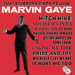 Stubborn Kind Of Fellow