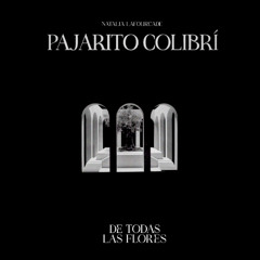 Pajarito colibrí [Acústica]