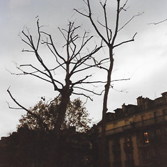 Bel automne (1997)