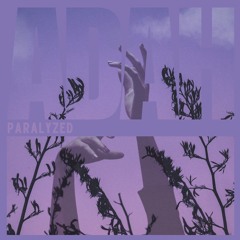 A DREAM ABOUT HOME- re:paralyzed (ft The Underdog Misfit)