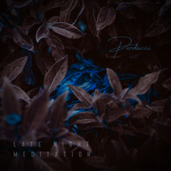 Late Night Meditation