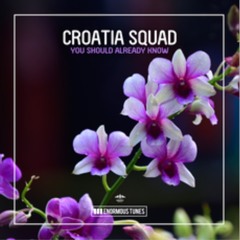 Croatia Squad - You Should Already Know(OUT NOW)