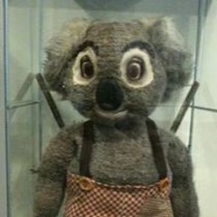 Blinky Bill