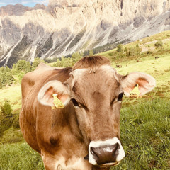 Spring '25 Dubstep Mix