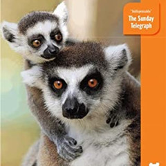 [VIEW] KINDLE 📮 Madagascar by  Hilary Bradt &  Daniel Austin [PDF EBOOK EPUB KINDLE]