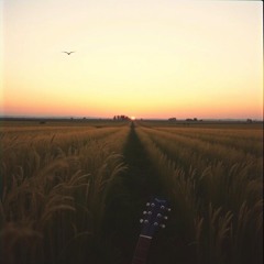 This Is the Field.wav