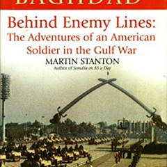 [View] PDF 🗸 Road to Baghdad: Behind Enemy Lines: The Adventures of an American Sold