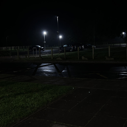 bojack i dont like anything about me