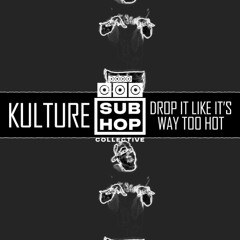 Drop It Like It's Way Too Hot (Snoop Dogg Bootleg)