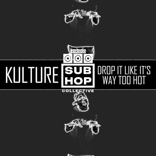 Drop It Like It's Way Too Hot (Snoop Dogg Bootleg)