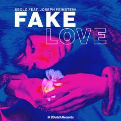 Fake Love (feat. Joseph Feinstein)