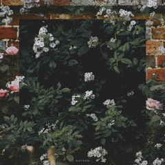 FREE DOWNLOADS