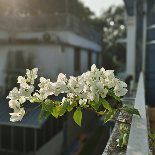 BAD ROMANCE - Poem by Arun Prasad