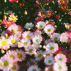 No Surprises On Old Piano