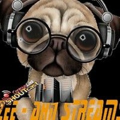 ZEE ahn Streams LLC is an internet company that sp.mp3