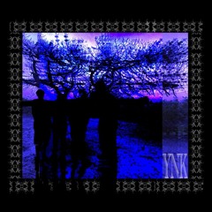 MY BACK’S COVER - YNK