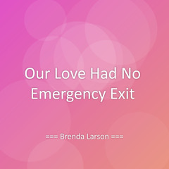 Our Love Had No Emergency Exit