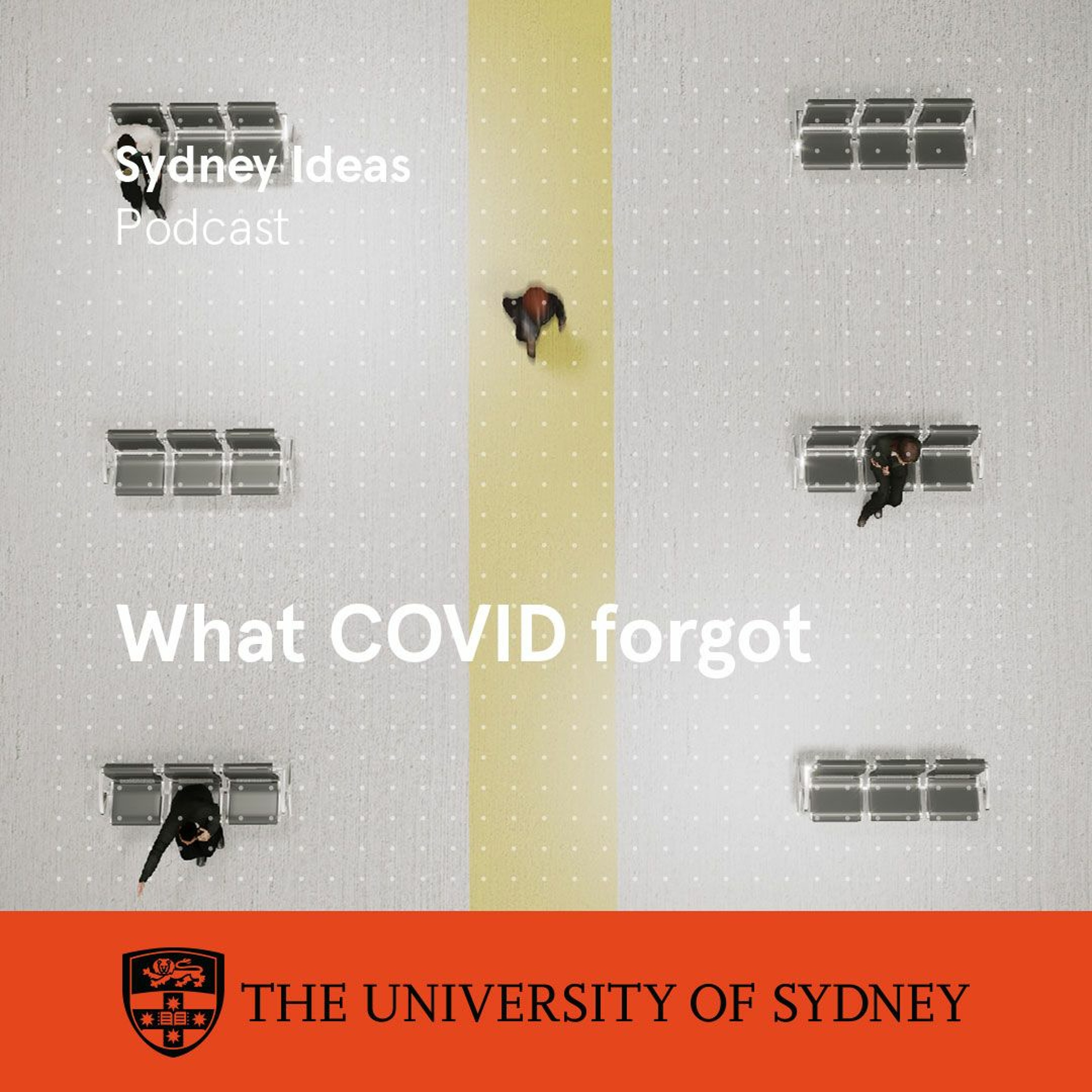 cover of episode What COVID forgot: orphans of the pandemic response