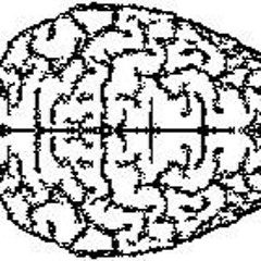 Color Your Brain Label