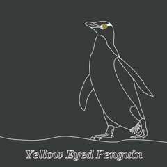 Pavane for the Yellow Eyed Penguin