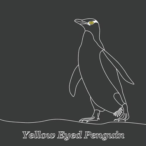 Pavane for the Yellow Eyed Penguin