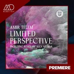PREMIERE: Amir Telem - Limited Perspective (Alex Medina Remix) [Dear Deer]