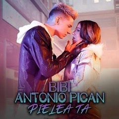 Pielea Ta (ft. Antonio Pican)